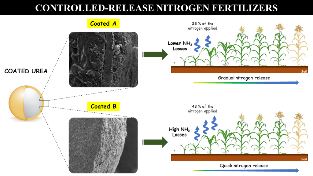Controlledrelease nitrogen fertilizers characterization