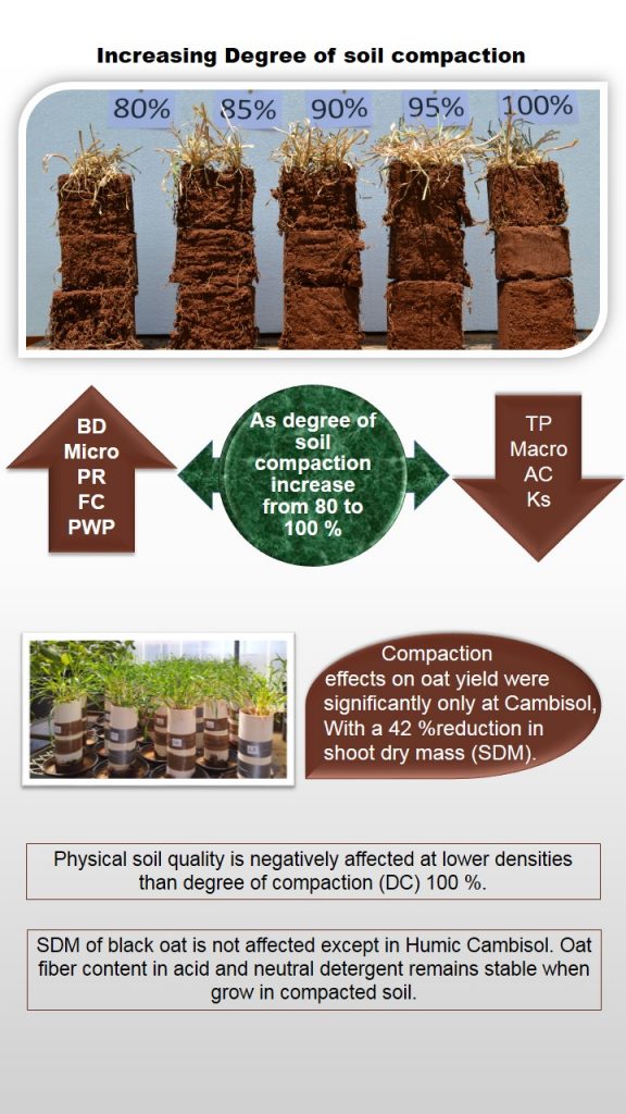 Visual Abstract