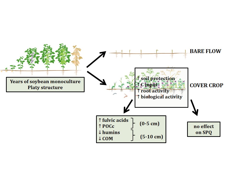 Winter cover crops effects on soil organic carbon and soil physical