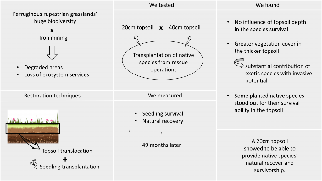 Visual Abstract