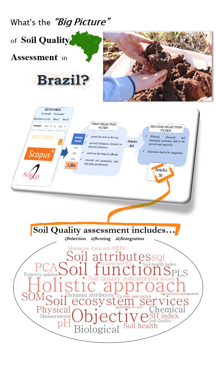 Visual Abstract