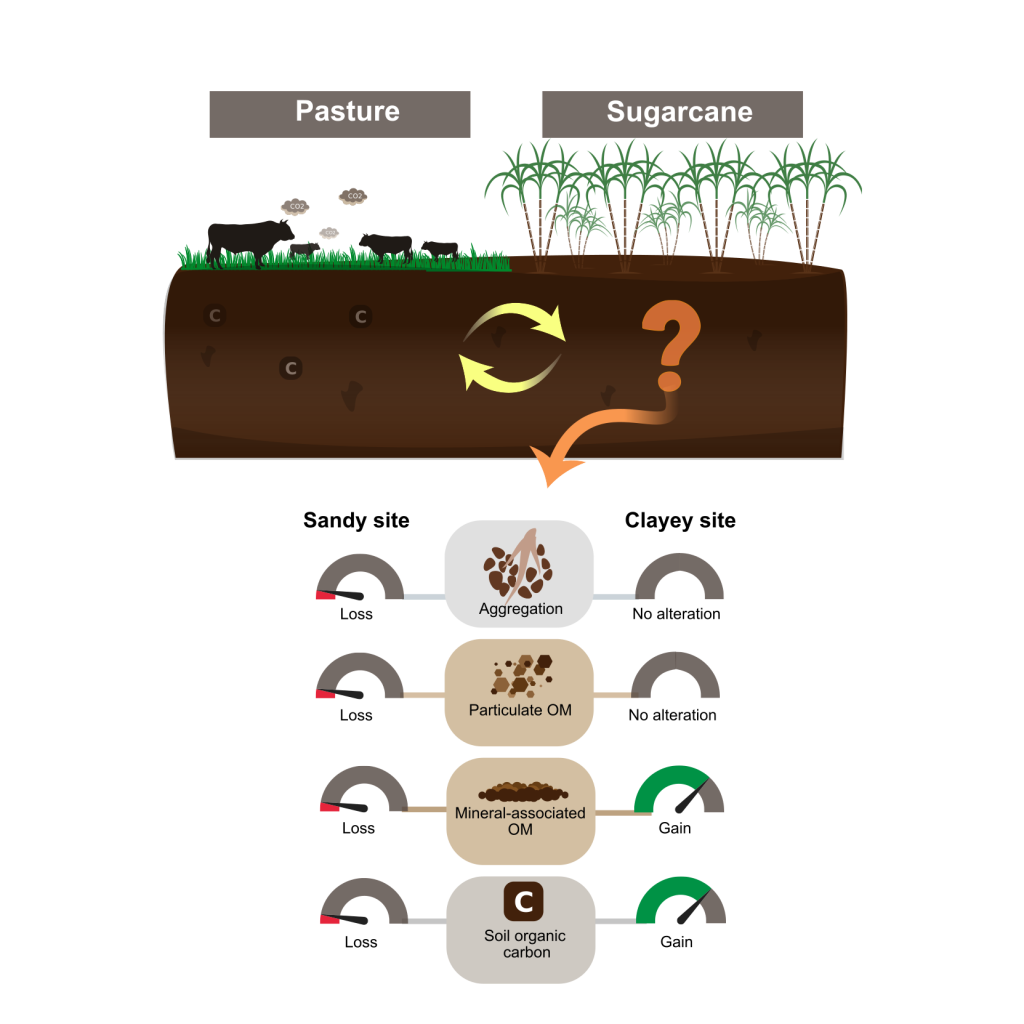 Visual Abstract