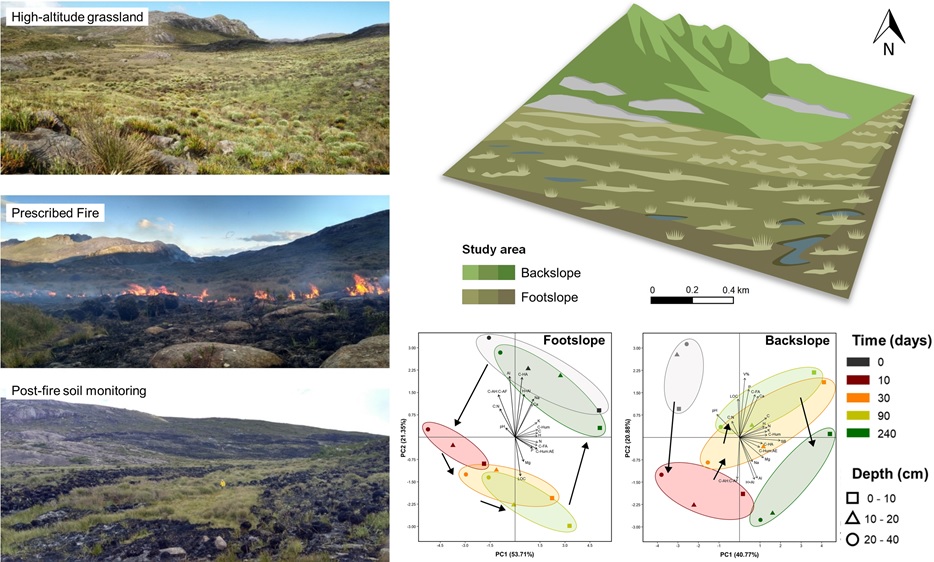 Slope position controls prescribed fire effects on soil a case study in the highelevation